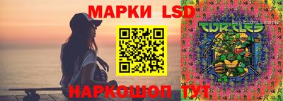 ПСИЛОЦИБИНОВЫЕ ГРИБЫ Дубна